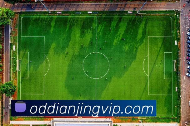 App Interface Preview